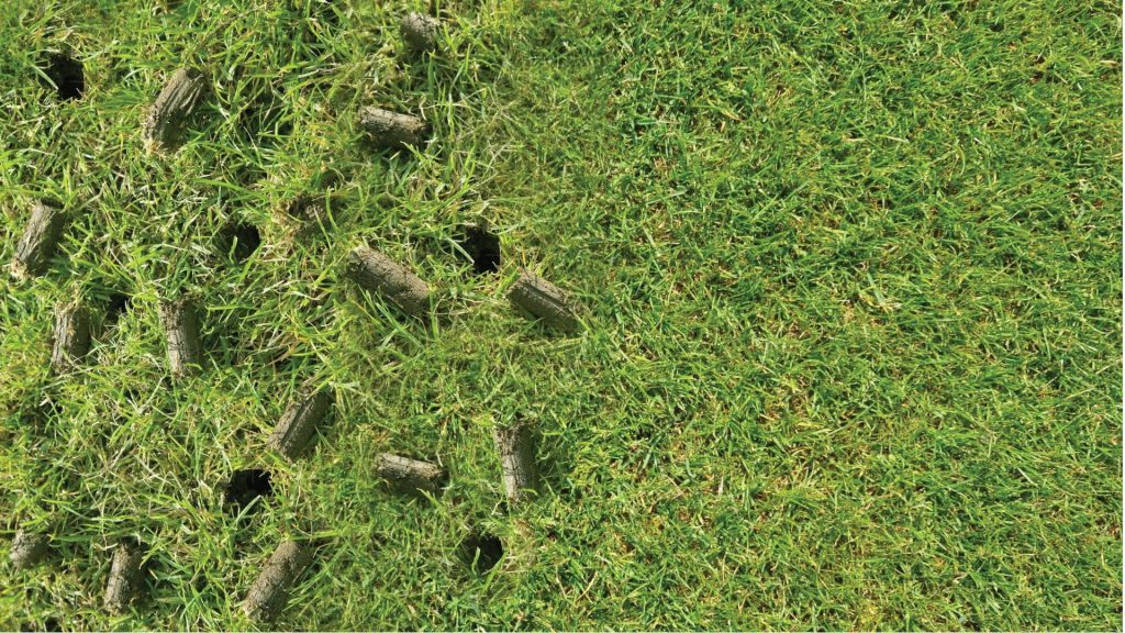 Cost to dethatch and store aerate a lawn